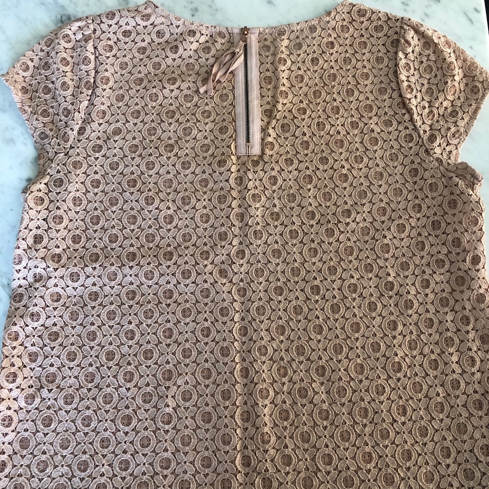 Ann Taylor Loft Lace Shortsleeve - Picture 3 of 3